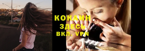 дурь Новодвинск
