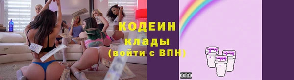 метадон Няндома