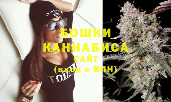 дурь Новодвинск