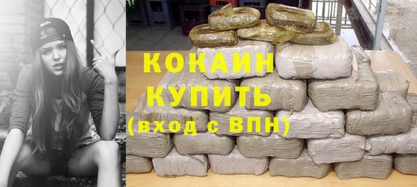 стафф Новозыбков
