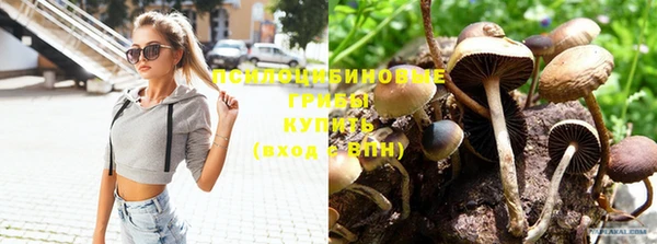 крисы Нефтегорск